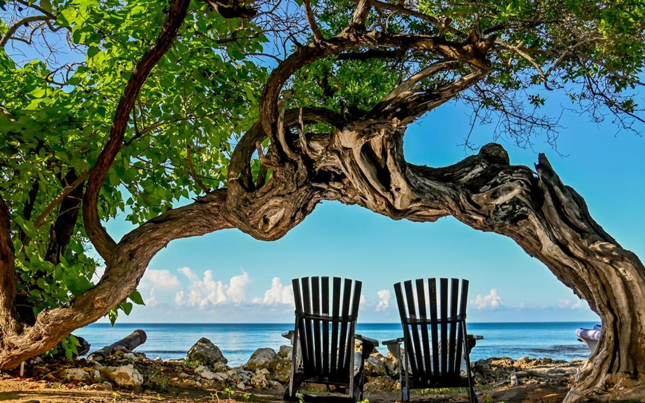 Jakes Hotel Treasure Beach Eksteriør bilde