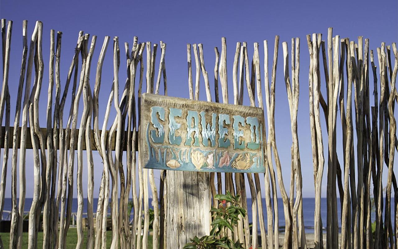 Jakes Hotel Treasure Beach Eksteriør bilde